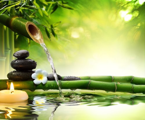 Holistic Healing